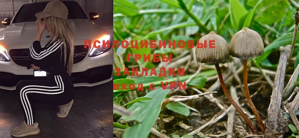 mdpv Алексин