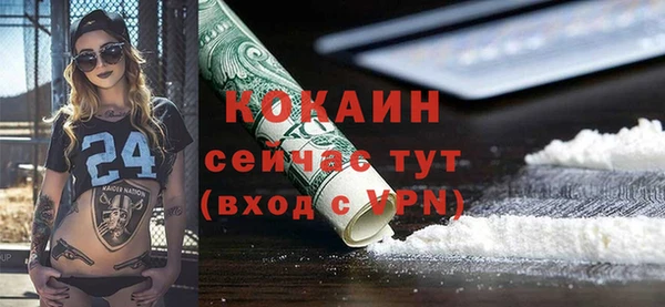 дживик Алзамай