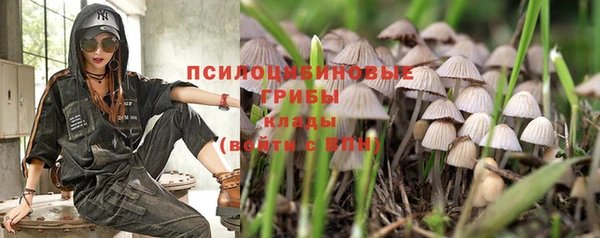 mdpv Алексин