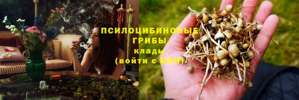 дживик Алзамай